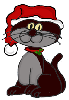 CAT WITH A SANTA HAT ON