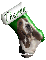green basset hound stocking Theron