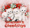 seasons greetings cats
