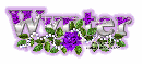Purple rose-Wynter