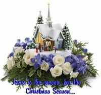 CHRISTMAS FLOWERS