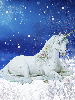 winter unicorn in the snow