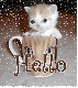 hello kitten in a cup