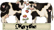 Two Cows - Maythe