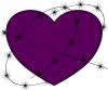 Purple Barb wired Heart