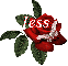 Butterfly Red Rose - Jess