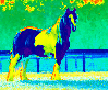 a horse colorized