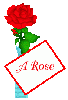 a rose for a rose