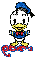 Donald Duck Cutie -Pam-