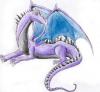 Purple Adult Dragon