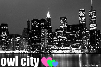 owl city