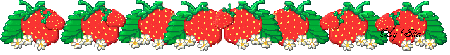 strawberries divider