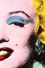 Partial Marilyn Monroe-Warhol art