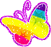 Rainbow Buterfly