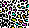 multicolor leopard