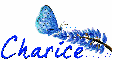 Blue Butterfly Charice