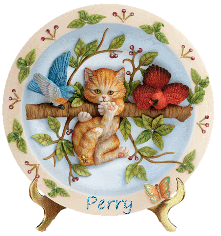 cute cat perry