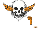 bethany orange skull