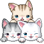 Three kitties