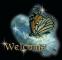 welcome with butterfly on moon