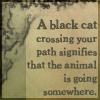 A black cat crossing your path