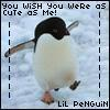 pinguin. <3