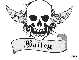 bailey w/b skull