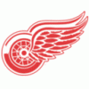Detroit Red Wings Logo Icon