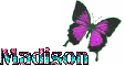 madisonchange color butterfly