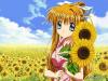 Misuzu at a sunflower field holding sunflowers