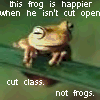 This Frog Is Happier...