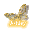 Ashley Butterfly