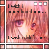 i wish i never loved you