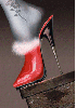 Sexy shoe