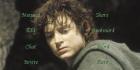 Lord Of The Rings: The Return Of The King Frodo