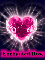 Enchanted Rose Pink Heart
