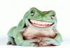 frog with teeth