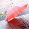 Sidewalk umbrella