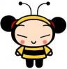 pucca bee