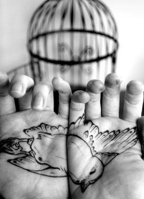 Birdie in Palm