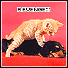 at last revenge