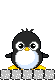 baby penguin blox