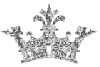 silver crown