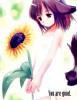 Good Sunflower Neko Girl