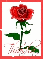 Thrasha Rose Graphic