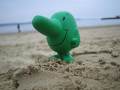 smile on the beach -- green&big nose!!