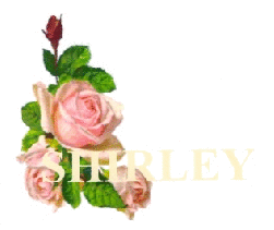 Shirley