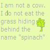 spinach funny 