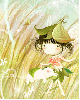 Grass Fairy