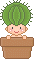 baby cactus